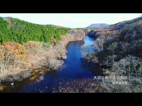 自然豊かな晩秋の大沼公園・大沼園地　ドローン空撮