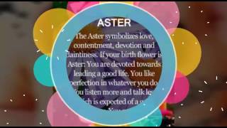 Man Of My World - Collin Raye