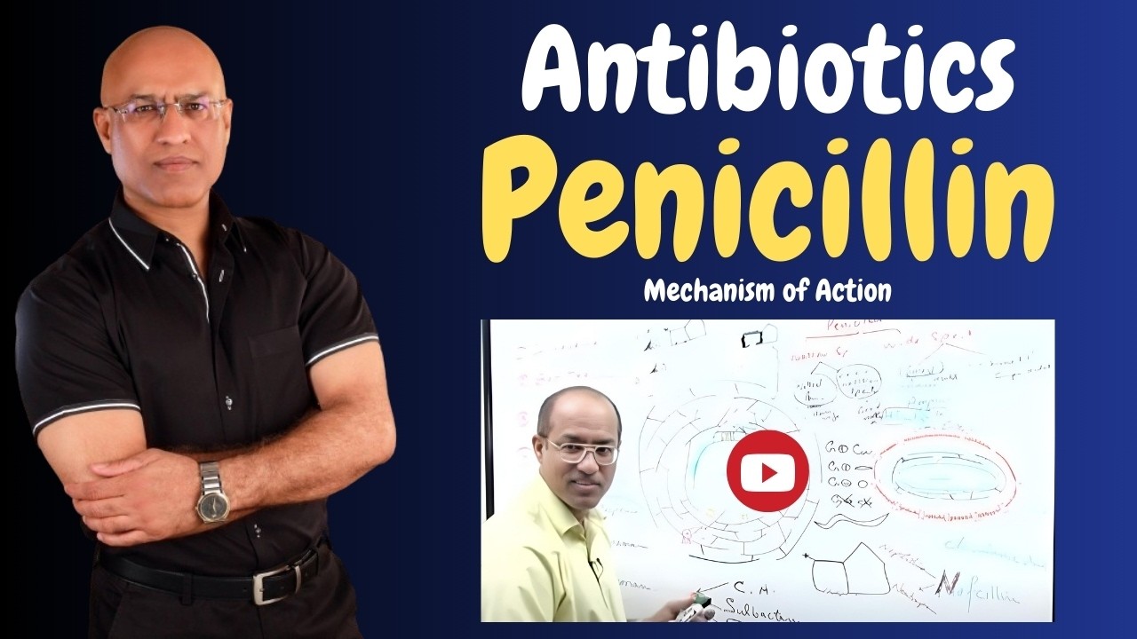 Penicillin | Antibiotics | Mechanism of Action | Pharmacology💊