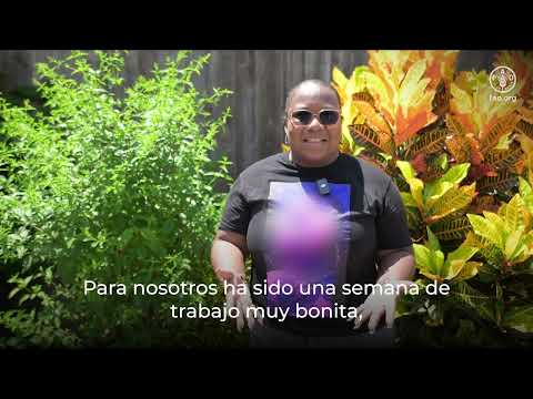 Open Foris Ground apoya al sector del cacao en Colombia – Entrevista a Corpoteva