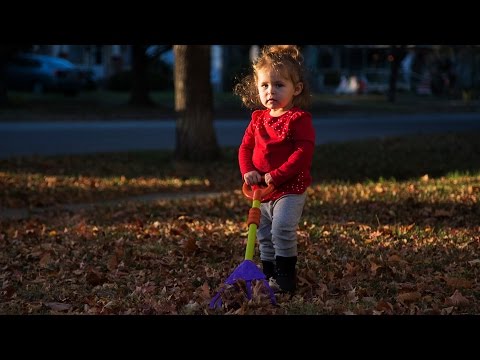 Yard Work - 5D MKIII Magic Lantern RAW