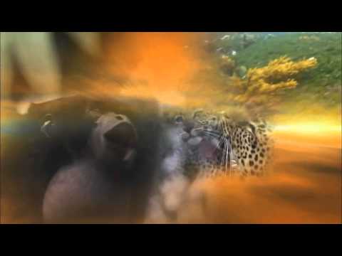 Alex H & Mona Moua - There's No Turning Back (Original Mix) [Perplexity Music]