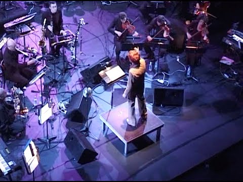 Steroid Maximus “The Trembler” Live at Le Pompidou 2003