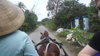 Traveling around the Mekong Delta