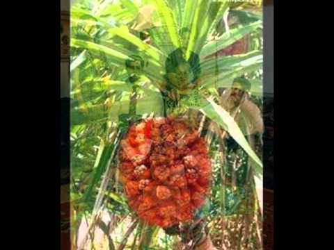 download lagu mp3 mp4 Ekoula, download lagu Ekoula gratis, unduh video klip Ekoula