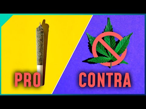 Cannabis wird legal - Das sagt die Wissenschaft dazu