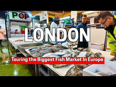 Inside Billingsgate | The Biggest Fish Market In Europe At 3AM! 4K