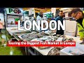 Inside Billingsgate The UK And Europe S Largest Fish Market At 3AM Walking Tour