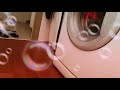 Baby Cat Amazed By The Washing Machine