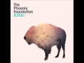 the phoenix foundation wonton