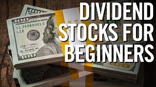 DIVIDEND STOCKS 🤑 Basics of Investing with Dividends