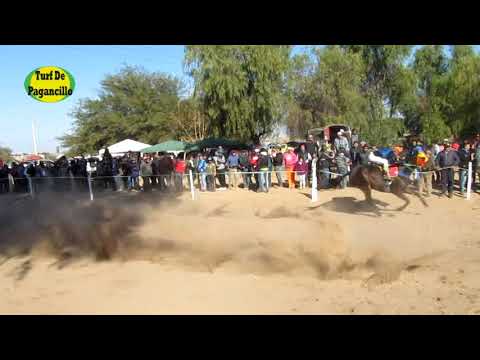 Perezoso. Hip. "NONOGASTA" 24.06.2018