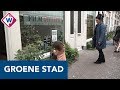 Wijkbrunch om het Haagse centrum groener te maken - OMROEP WEST
