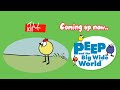 TV Kids PEEP And The Big Wide World Coming Up Now Bumper