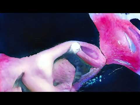 De mi, constantemente (Interlude)