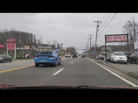 Transvision Vamp - I Want Your Love - IMO Reaction