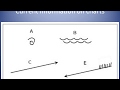 Introduction To Tidal Current VO TTNVQ