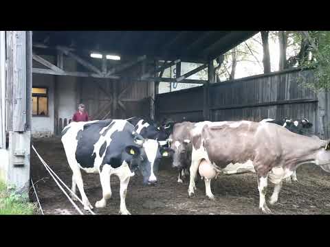 TAGWERK - im Gespräch mit Sepp Braun