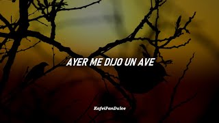 Ayer Me Dijo Un Ave//Caifanes (Letra)