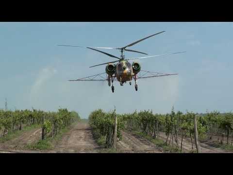 Ka-26 spraying vineyard [HD]