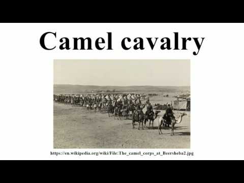 Camel cavalry