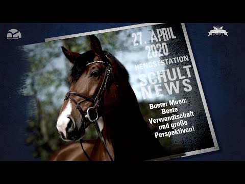 Film Buster Moon / Teil  1