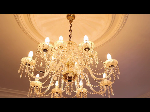 117 The Drive, Epsom - Alan Liu & Lindy Guo - Ray White Epsom