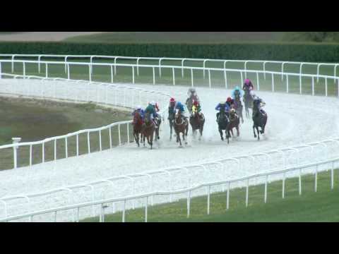 2017.04.16. 4. futam - NYERETLENEK VERSENYE (V.kat.) (szintetikus pálya)