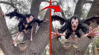 If These Moments Were Not Filmed' No One Would Have Believed It!