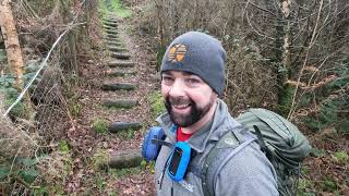 I spotted the ENDANGERED Curlew Bird: Hiking the Arra Loop with Breathtaking Views of Lough Derg