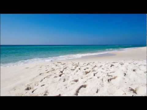 Pavel - Život je fer i sve je predivno (w/lyrics)