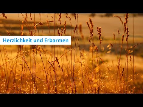 Herzlichkeit und Erbarmen - Karl-Hermann Kauffmann