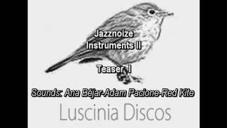 Jazznoize - Instruments II [Ana Béjar-Adam Pacione-Red Kite]
