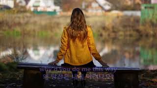 Singing the Blues  - Don McLean: with Lyrics(가사번역)
