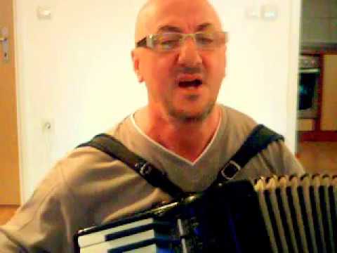 Zuhdija Zule Redzic - Hej, bolan Salko