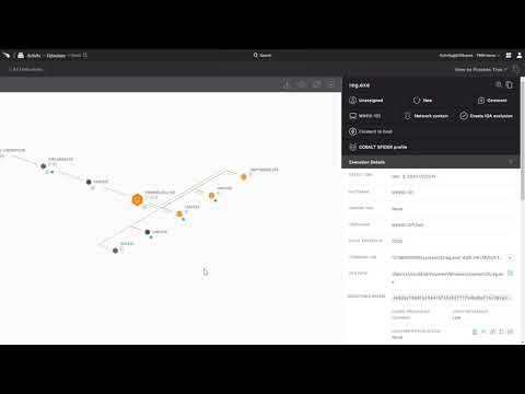 Registry Modification with Real Time Response