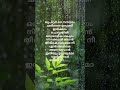 Jupiter Mazha Song Lyrics Karaoke Plzzzz Subscribe