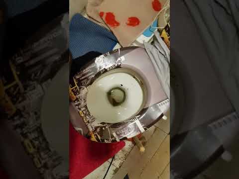 Der ADO Saustall 24.5.2018