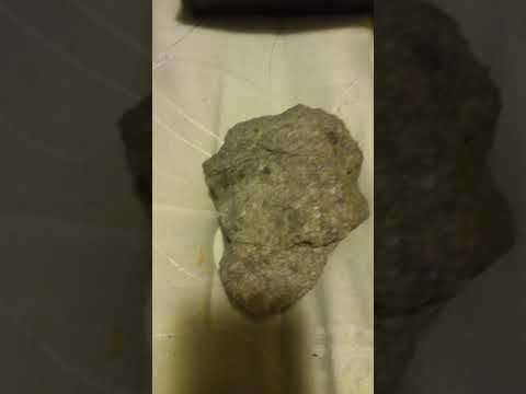 NOBODY WANTS MY BREAD