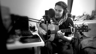 Walter Reed - Michael Penn | Acoustic Cover |