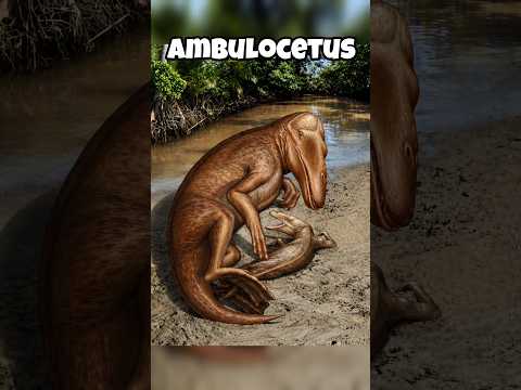 how animals looked before evolution #shorts #animals