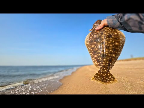 Fishing Bucktails For Fluke From Shore (FISHERMAN GOES DOWN!!!)