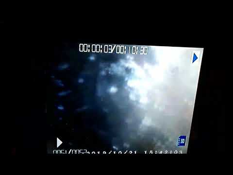 WEB-1491177 - DG - Lexington, TN - Video 1