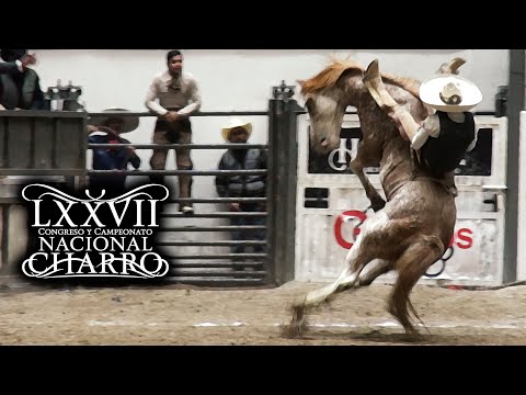 JINETEO DE YEGUA dia 20 semifinales - Congreso Aguascalientes 2021