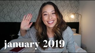 January 2019 Budget | My Debt Flow Chart | Aja Dang