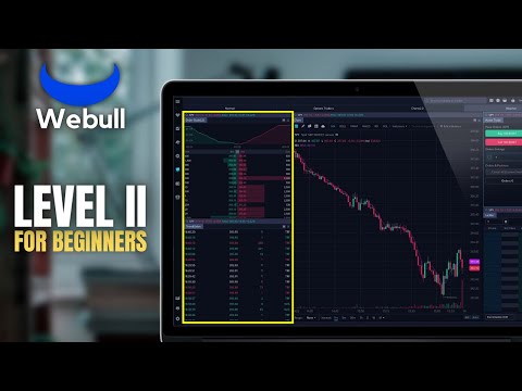 How to Read Level 2 Data in Webull | Level 2 and Time & Sales