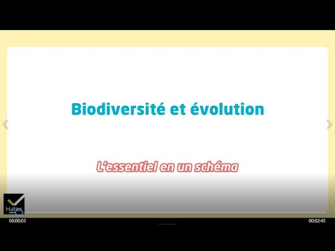 SVT 2de - Schéma bilan : Biodiversité et évolution