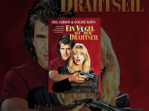 Ein Vogel auf dem Drahtseil