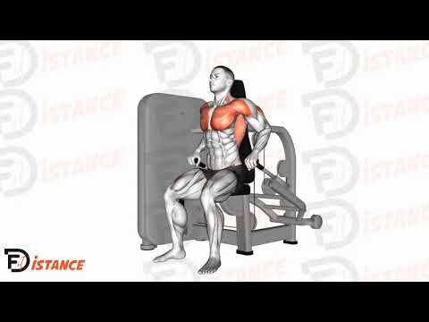 Exercice Dips à la machine guidée