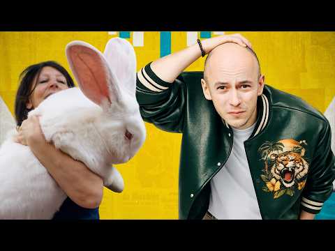 KRÓLIK-POTWÓR WIĘKSZY OD 3 PSÓW || Newsy, które ryją banię